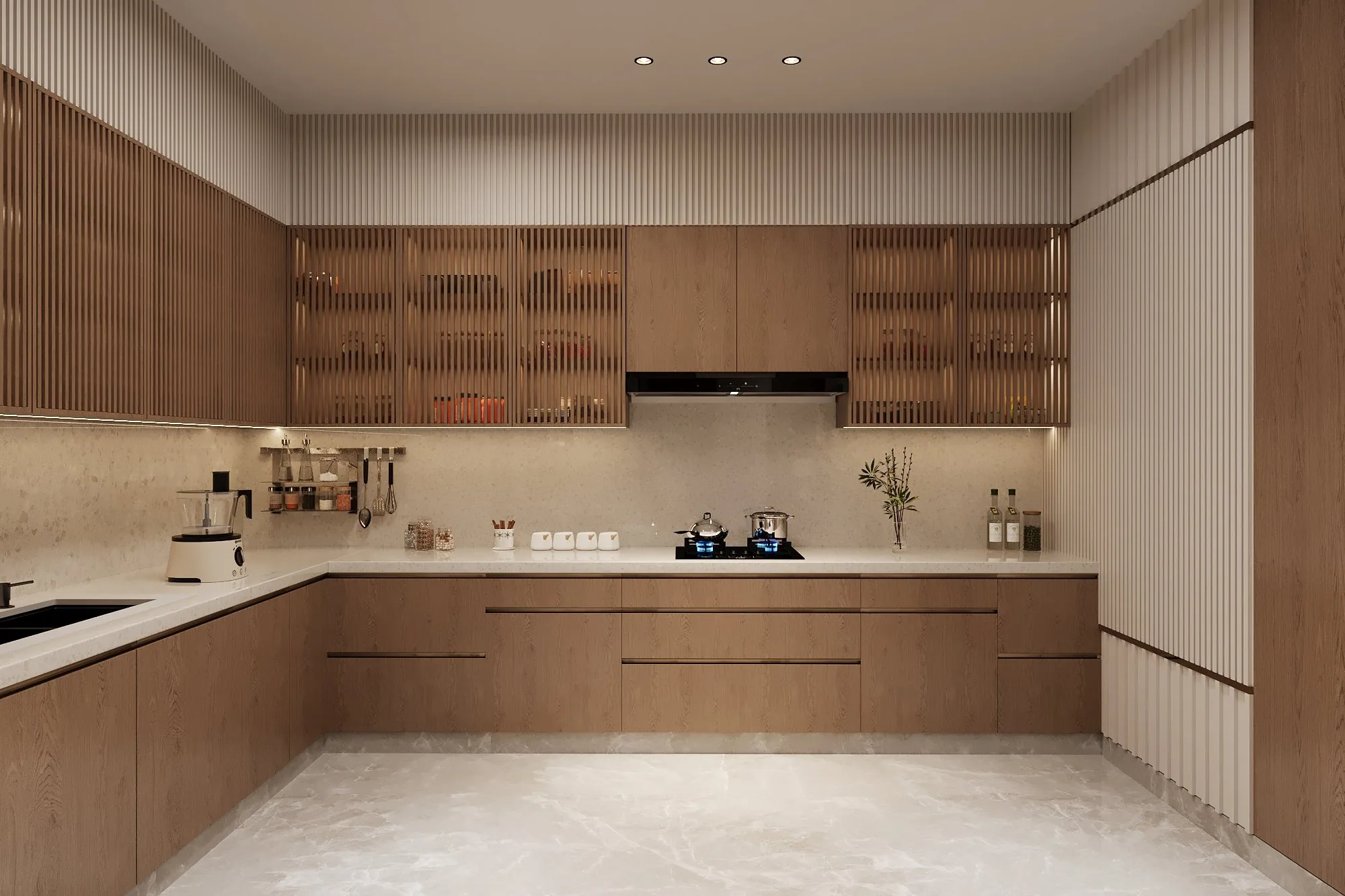 A Private Residence Ludhiana — long view