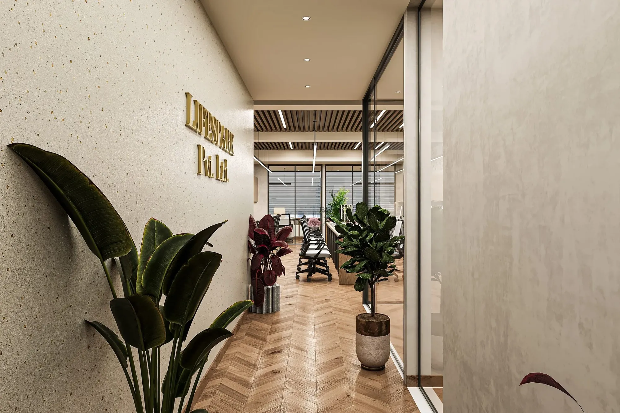 Taksh Media x Lifespark Panchkula — view XI
